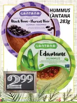 Supermarché PA HUMMUS LANTANA offer