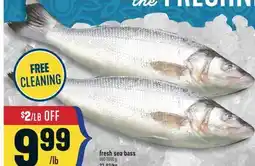 Marché Adonis Fresh sea bass offer