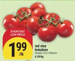 Marché Adonis Red vine tomatoes offer