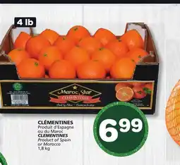 Marches Tradition CLEMENTINES offer