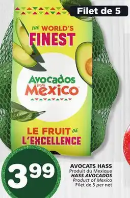 Marches Tradition HASS AVOCADOS offer