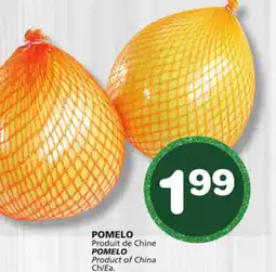 Marches Tradition POMELO offer