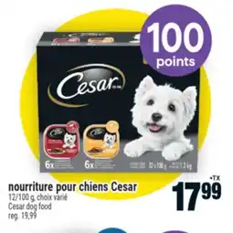 Super C NOURRITURE POUR CHIENS CESAR | CESAR DOG FOOD offer