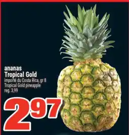Super C ANANAS TROPICAL GOLD | TROPICAL GOLD PINEAPPLE offer