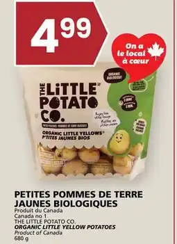 Rachelle-Bery Grocery THE LITTLE POTATO CO. ORGANIC LITTLE YELLOW POTATOES offer