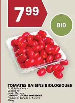 Rachelle-Bery Grocery ORGANIC GRAPE TOMATOES Canada no 1 ORGANIC GRAPE TOMATOES Product of Canada or Mexico 680 g offer