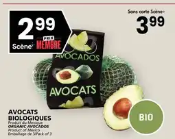 Rachelle-Bery Grocery ORGANIC AVOCADOS offer