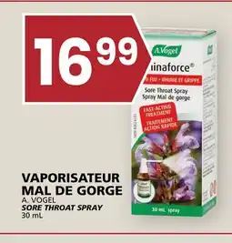 Rachelle-Bery Grocery A. VOGEL SORE THROAT SPRAY offer