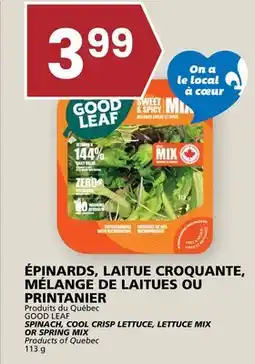 Rachelle-Bery Grocery GOOD LEAF SPINACH, COOL CRISP LETTUCE, LETTUCE MIX OR SPRING MIX offer