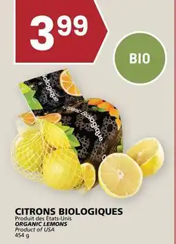 Rachelle-Bery Grocery ORGANIC LEMONS offer