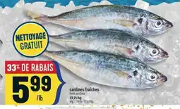 Marché Adonis SARDINES FRAÎCHES | FRESH SARDINES offer