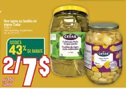 Marché Adonis FÈVE LUPINS OU FEUILLES DE VIGNES CEDAR | CEDAR LUPINI BEANS, OR GRAPE LEAVES offer