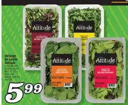 Marché Richelieu MÉLANGE DE SALADE ATTITUDE | ATTITUDE SALAD MIX offer
