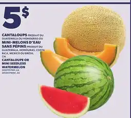 Provigo CANTALOUPE OR MINI SEEDLESS WATERMELON offer