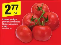 Maxi TOMATES SUR VIGNE offer