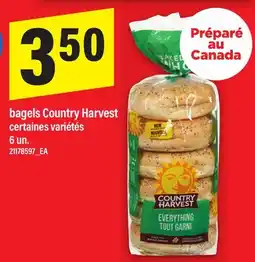 Maxi BAGELS COUNTRY HARVEST, 6 UN offer