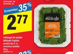 Maxi MÉLANGE DE SALADE ATTITUDE FRAÎCHE, 142 G offer