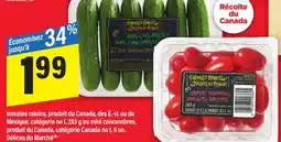 Maxi TOMATES RAISIN, 283 G OU MINI CONCOMBRE, 6 UN. DÉLICES DU MARCHÉ offer