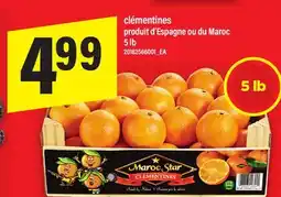 Maxi CLÉMENTINES, 5 lb offer