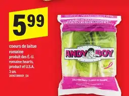 Maxi COEURS DE LAITUE ROMAINE | ROMAINE HEARTS, 3 UN offer