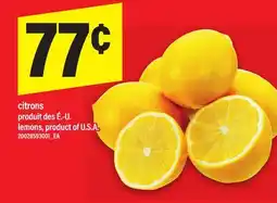 Maxi CITRONS | LEMONS offer