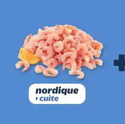 Metro NORDIQUE offer