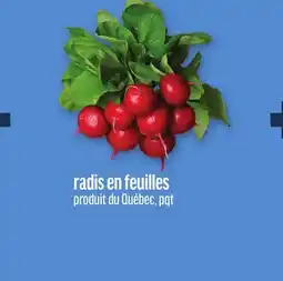 Metro RADIS EN FEUILLES offer