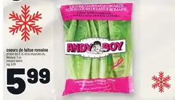 Metro COEURS DE LAITUE ROMAINE | ROMAINE HEARTS offer