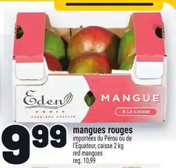 Metro MANGUES ROUGES | RED MANGOES offer