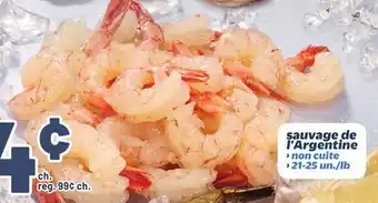 Metro SAUVAGE DE L'ARGENTINE offer