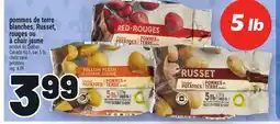 Metro POMMES DE TERRE BLANCHES, RUSSET, ROUGES OU À CHAIR JAUNE | POTATOES offer