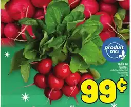 Metro RADIS EN FEUILLES | TOP RADISHES offer