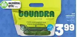 Metro MINI CONCOMBRES | BABY CUCUMBERS offer