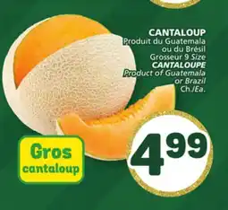 Marché Bonichoix CANTALOUPE offer