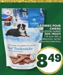 Marché Bonichoix CALEDON FARMS DOG TREATS offer