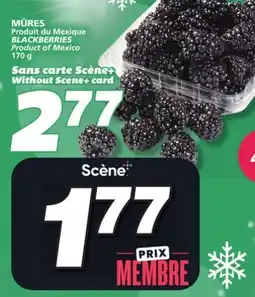 IGA BLACKBERRIES offer