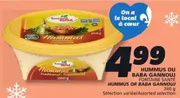 IGA FONTAINE SANTÉ HUMMUS OR BABA GANNOUJ offer