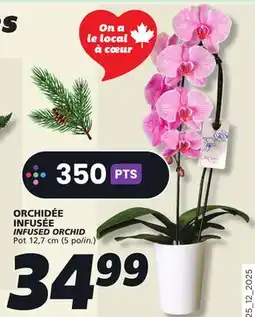 IGA INFUSED ORCHID offer