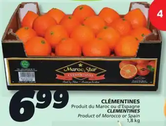IGA CLEMENTINES offer