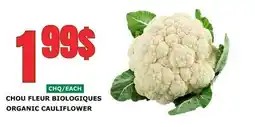 Marches Tau CHOU FLEUR BIOLOGIQUES offer