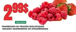 Marches Tau FRAMBOISES OU FRAISES BIOLOGIQUES offer