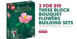 Toys R us THESE BLOCK BOUQUET FLOWERS BUILDING SETS offer