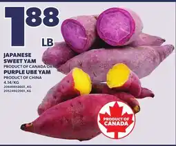 Loblaws JAPANESE SWEET YAM PRODUCT OF CANADA OR PURPLE UBE YAM PRODUCT OF CHINA offer