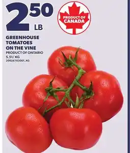 Loblaws GREENHOUSE TOMATOES ON THE VINE offer