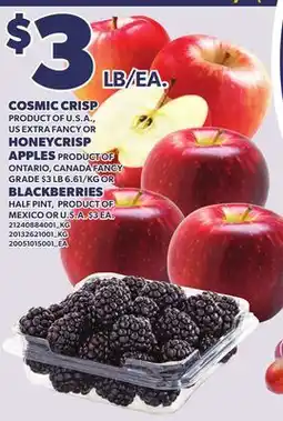 Loblaws COSMIC CRISP OR HONEYCRISP APPLES OR BLACKBERRIES HALF PINT offer