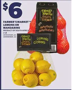 Loblaws FARMER'S MARKET LEMONS OR MANDARINS, 2 LB offer