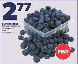 Loblaws BLUEBERRIES offer