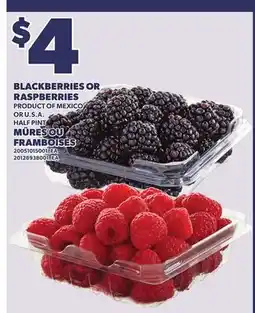 Independent Grocer BLACKBERRIES OR RASPBERRIES, HALF PINT offer