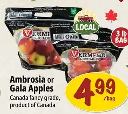 Farm Boy Ambrosia or Gala Apples offer