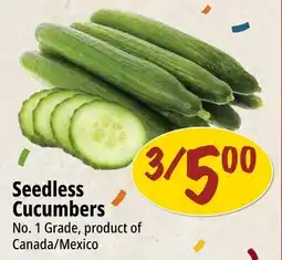 Farm Boy Seedless Cucumbers offer